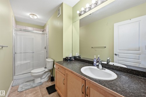 248 4827 104A Street, Edmonton, AB - Indoor Photo Showing Bathroom