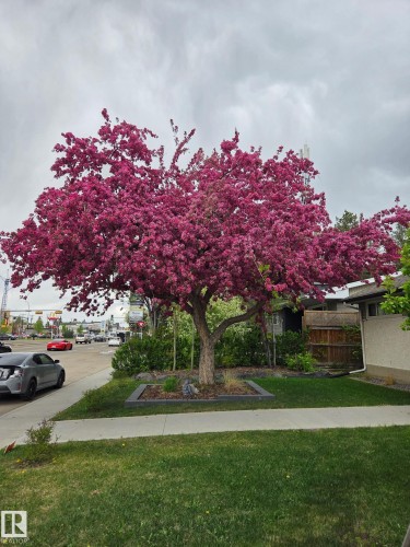 8603 149 Street, Edmonton, AB - Outdoor