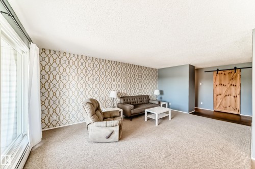 Living area featuring patterned accent wall, light-toned carpeting, dark wood-finish flooring, a sliding barn door, and a full-height window - 423 5125 Riverbend Road, Edmonton, AB - Indoor