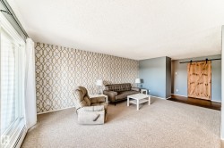 Living area featuring patterned accent wall, light-toned carpeting, dark wood-finish flooring, a sliding barn door, and a full-height window - 