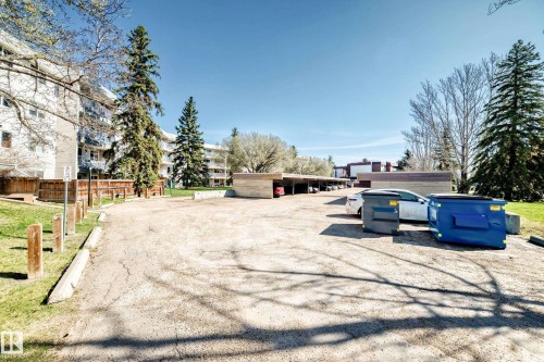 Paved parking area featuring mature evergreen trees and adjacent multi-story residential buildings - 423 5125 Riverbend Road, Edmonton, AB - Outdoor