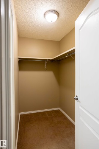 Walk-in closet featuring tan carpeting and light beige walls - 101 2420 108 Street, Edmonton, AB - Indoor With Storage