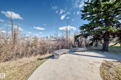 Concrete pathway with two modern concrete and wood slat benches, bordering a mature evergreen tree and natural landscaping - 601 10135 Saskatchewan Drive Nw, Edmonton, AB - Outdoor With View