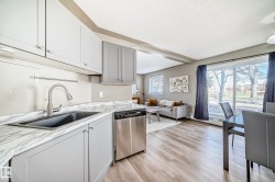 Modern kitchen with light grey cabinetry, a stainless steel dishwasher, and a black composite sink with a gooseneck faucet - 