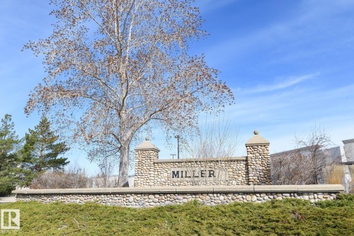 Stone entry monument with concrete cap, featuring a textured "MILLER" inscription, set against green ground cover and mature trees - 55 14603 Miller Boulevard, Edmonton, AB - Outdoor