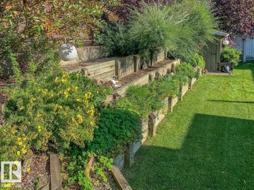 The property features a tiered garden with wooden retaining walls, lush green foliage, and a well-maintained lawn area - 705 Riddell Street, Edmonton, AB - Outdoor