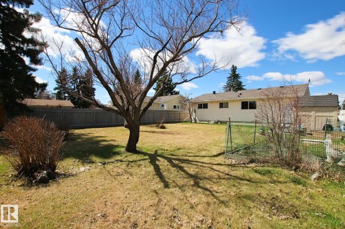 Spacious backyard featuring a large deciduous tree, manicured lawn, and privacy fencing - 3539 104 Street, Edmonton, AB - Outdoor