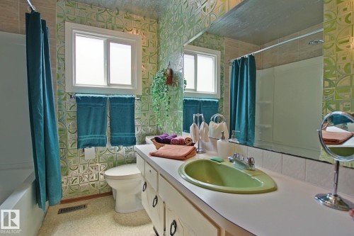 Full bathroom featuring a green basin sink, white countertop vanity with cabinet storage, and a white toilet - 3539 104 Street, Edmonton, AB - Indoor Photo Showing Bathroom