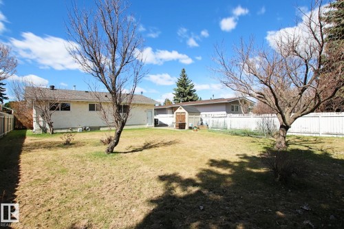 Expansive backyard featuring a partial white privacy fence, two mature deciduous trees, and a functional storage shed - 3539 104 Street, Edmonton, AB - Outdoor