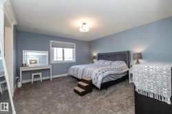 Spacious room featuring light blue walls and neutral tone carpeting - 