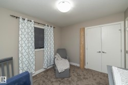 Neutral wall tones with plush carpeting - 