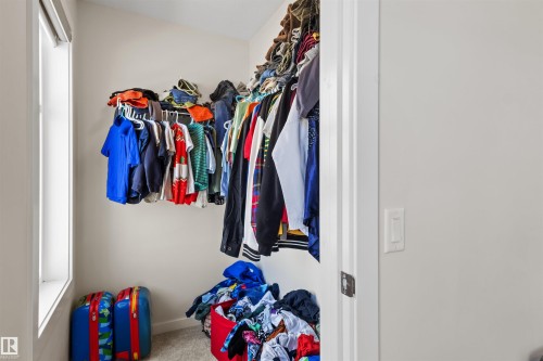 Walk-in closet with light grey carpet flooring and a corner window - 1471 Plum Circle Circle, Edmonton, AB - Indoor With Storage