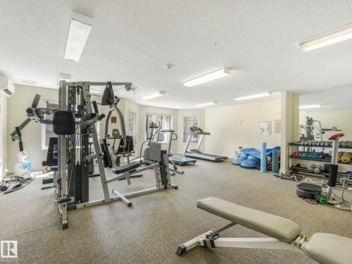 Dedicated fitness room featuring cushioned flooring, multiple windows, and bright overhead lighting - 317 2420 108 Street, Edmonton, AB - Indoor Photo Showing Gym Room