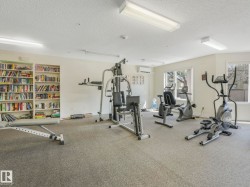 Indoor fitness area featuring carpet flooring and multiple windows - 
