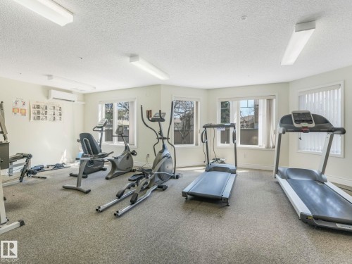 Dedicated fitness room featuring wall-to-wall carpeting and multiple windows for natural light - 317 2420 108 Street, Edmonton, AB - Indoor Photo Showing Gym Room