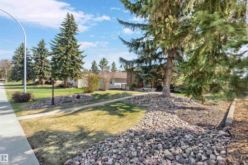 Landscaped front yard featuring mature evergreen trees - 10803 52 Street, Edmonton, AB - Outdoor With View