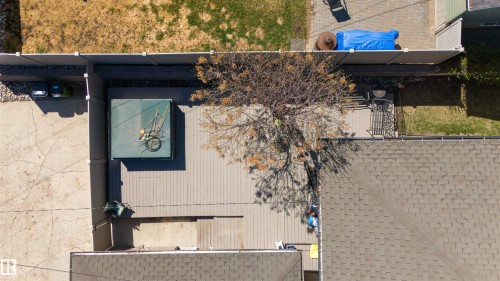 Expansive deck area featuring composite decking and a mature tree - 10803 52 Street, Edmonton, AB - Outdoor With Exterior
