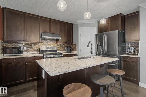 3724 Alexander Crescent, Edmonton, AB - Indoor Photo Showing Kitchen With Double Sink With Upgraded Kitchen