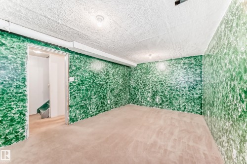 13862 24 Street, Edmonton, AB -  Photo Showing Other Room