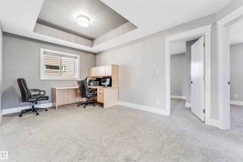 Carpeted room featuring a tray ceiling with a flush-mount light fixture, a window with white trim, and light gray wall paint - 1103 29 Street, Edmonton, AB - Indoor Photo Showing Office