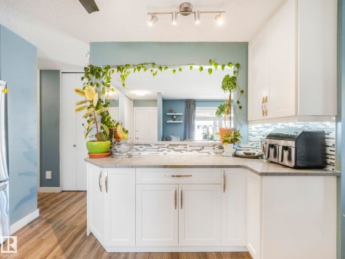 10629 167A Avenue, Edmonton, AB - Indoor Photo Showing Kitchen