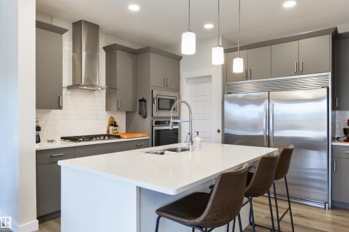 22632 96 Avenue, Edmonton, AB - Indoor Photo Showing Kitchen With Double Sink With Upgraded Kitchen