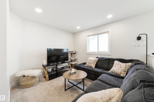 22632 96 Avenue, Edmonton, AB - Indoor Photo Showing Living Room