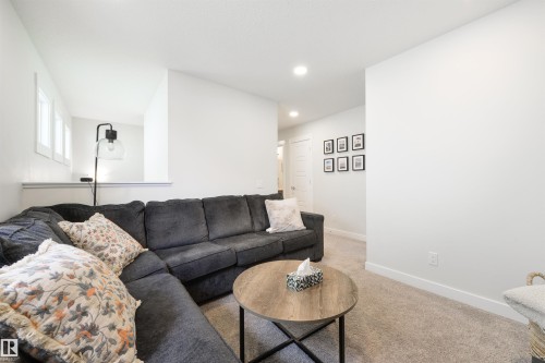 22632 96 Avenue, Edmonton, AB - Indoor Photo Showing Living Room