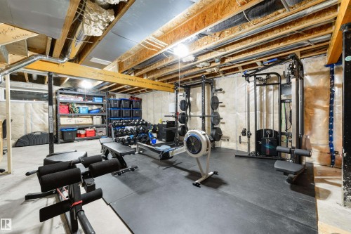 22632 96 Avenue, Edmonton, AB - Indoor Photo Showing Basement