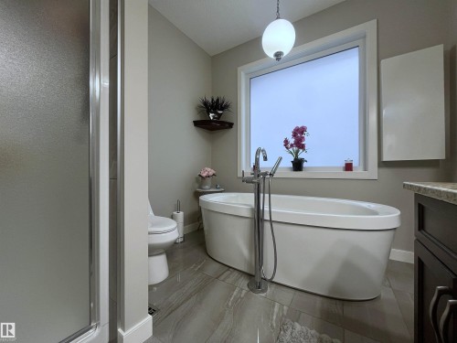 8504 216 Street, Edmonton, AB - Indoor Photo Showing Bathroom