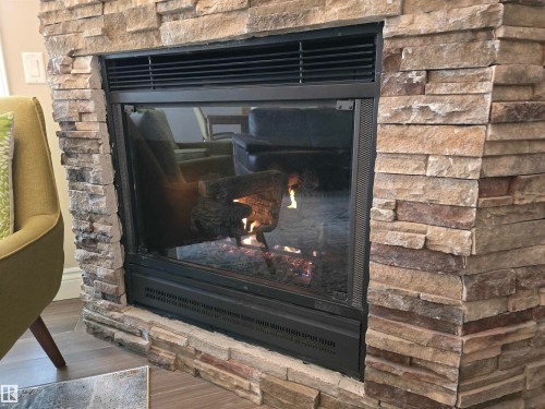 108 11650 79 Avenue, Edmonton, AB -  With Fireplace