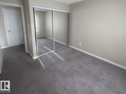 Wall-to-wall gray carpeting featuring a mirrored sliding closet door and neutral wall paint - 