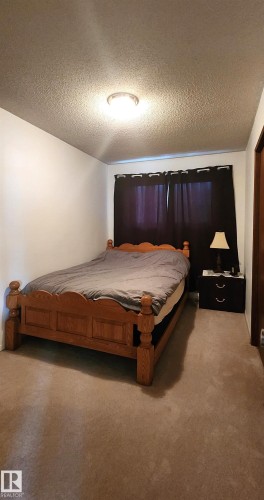 11035 166 Avenue, Edmonton, AB - Indoor Photo Showing Bedroom