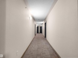 Well-lit interior hallway featuring patterned carpeting and multiple entry doors - 