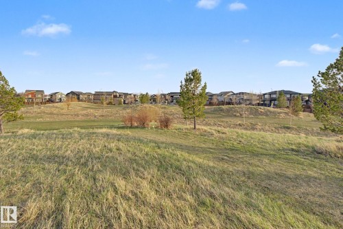 Expansive grassy landscape with scattered mature trees and distant residential properties under a clear sky - 635 42 Street, Edmonton, AB - Outdoor With View