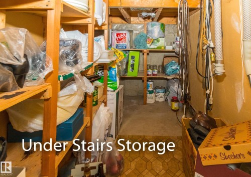 5915 115 Street, Edmonton, AB - Indoor Photo Showing Basement