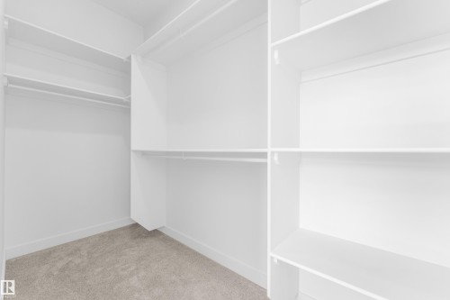 Walk-in closet featuring light-toned carpeting, white shelving units, and multiple clothing rods - 173 Graybriar Drive, Stony Plain, AB - Indoor With Storage