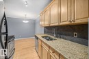 201 10547 83 Avenue, Edmonton, AB  - Indoor Photo Showing Kitchen With Double Sink 
