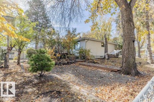 Gravel pathway bordered by wood planks, leading to a residence with light-colored siding - 12339 89 Street, Edmonton, AB - Outdoor