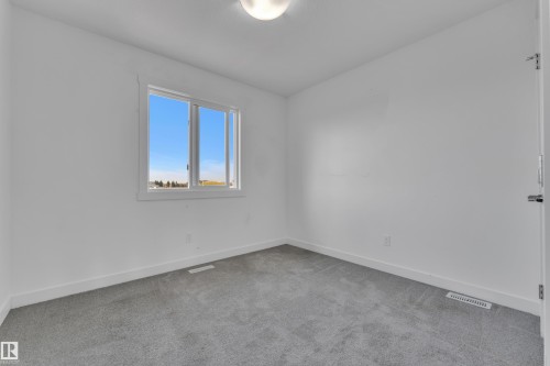 19734 29 Avenue, Edmonton, AB - Indoor Photo Showing Other Room