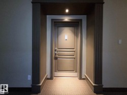 Panel door with integrated hardware and light-colored trim - 