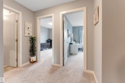 Carpeted hallway with light gray walls, white trim, and multiple doorways leading to other rooms - 