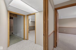 Hallway featuring light-colored carpet flooring, wood door casings, and a textured drop ceiling with flush lighting - 