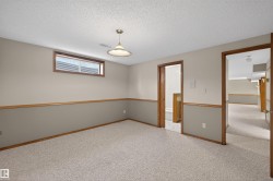 Carpeted room with a drop ceiling, wood-trimmed paneling, and a single-pane window - 