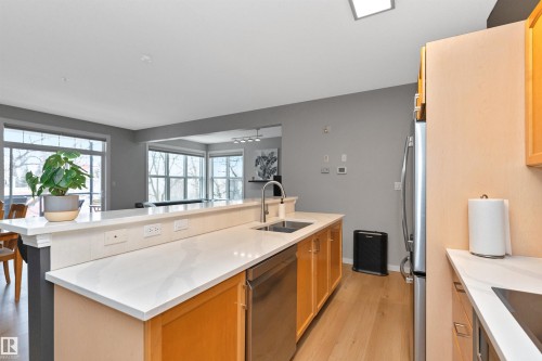 303 9828 112 Street, Edmonton, AB - Indoor Photo Showing Kitchen With Double Sink