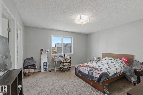 Carpeted room featuring light gray walls, a ceiling-mounted light fixture, and a multi-pane window - 1211 29 Street, Edmonton, AB - Indoor Photo Showing Bedroom