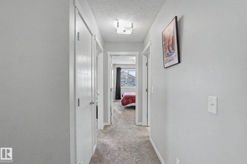 Interior hallway featuring light gray walls, white trim, and textured gray carpeting - 1211 29 Street, Edmonton, AB - Indoor Photo Showing Other Room