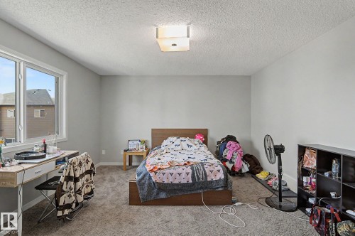Image quality insufficient for description - 1211 29 Street, Edmonton, AB - Indoor Photo Showing Bedroom