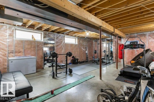 39 Haviland Crescent, St. Albert, AB - Indoor Photo Showing Basement