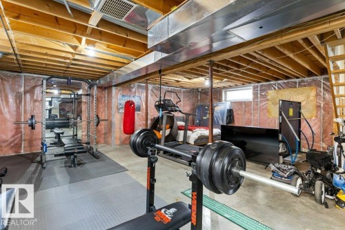 39 Haviland Crescent, St. Albert, AB - Indoor Photo Showing Basement